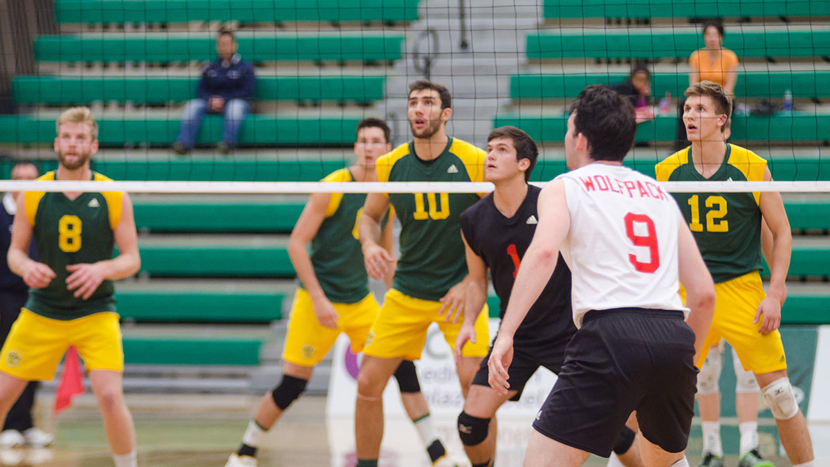 Sports-Mitch-Sorensen-Bears-Volleyball-3