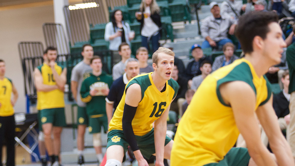 Sports-Mitch-Sorensen-Bears-Volleyball-2