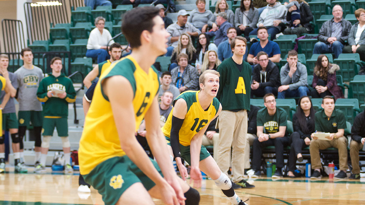 Sports-Mitch-Sorensen-Bears-Volleyball-4