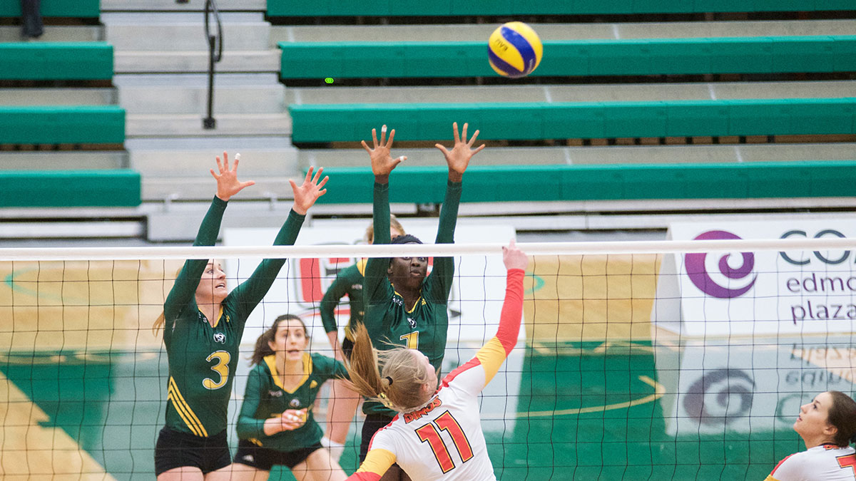 Sports-Mitch-Sorensen-Pandas-Volleyball-8