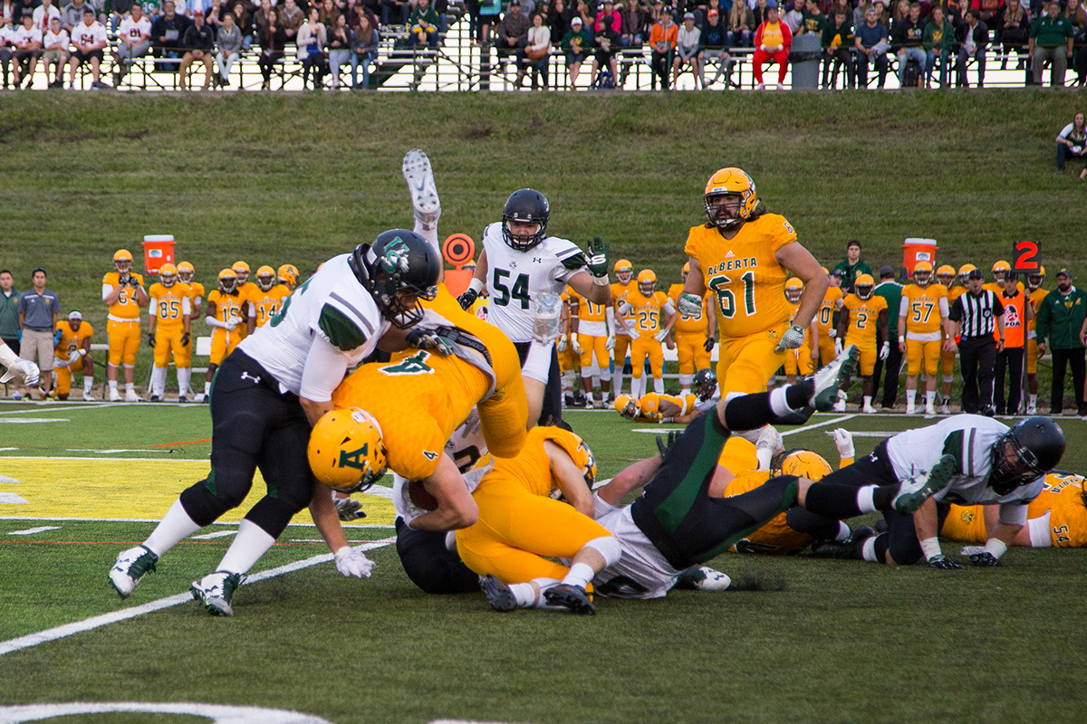 Golden Bears fourth year running back Ed Ilnicki crashes into the Huskies line.