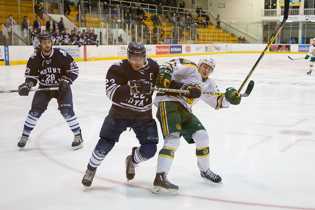 1050-Joshua-Storie-Golden-Bears-Home-Opener-3