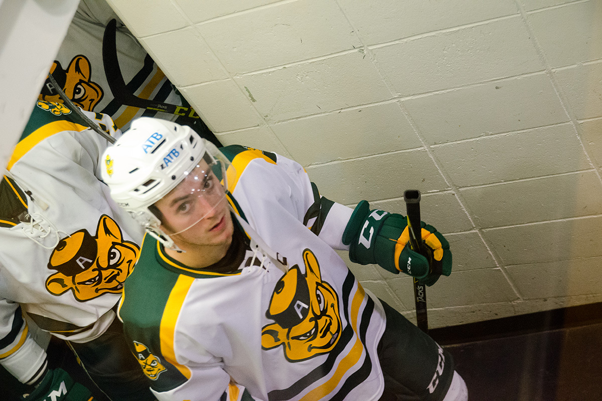 The Bears enter after the second period intermission.