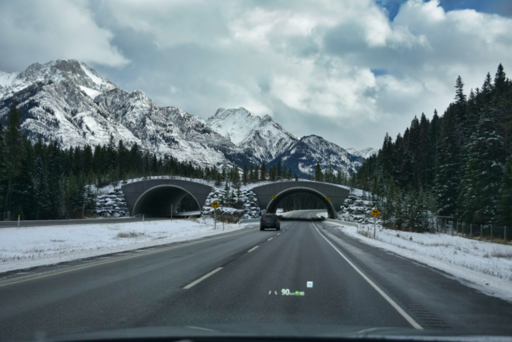 Highway to Banff